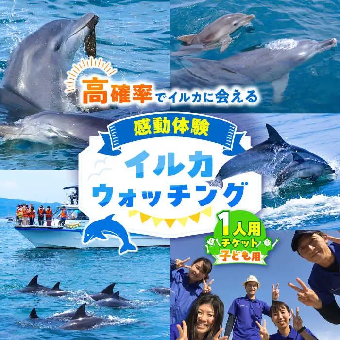 南島原 イルカウォッチング  子ども用 1人用 チケット / チケット ちけっと 体験型 観光チケット いるか イルカ イルカ体験 貸し切り いるか イルカ / 南島原市 / 南島原イルカウォッチング [SAE003]