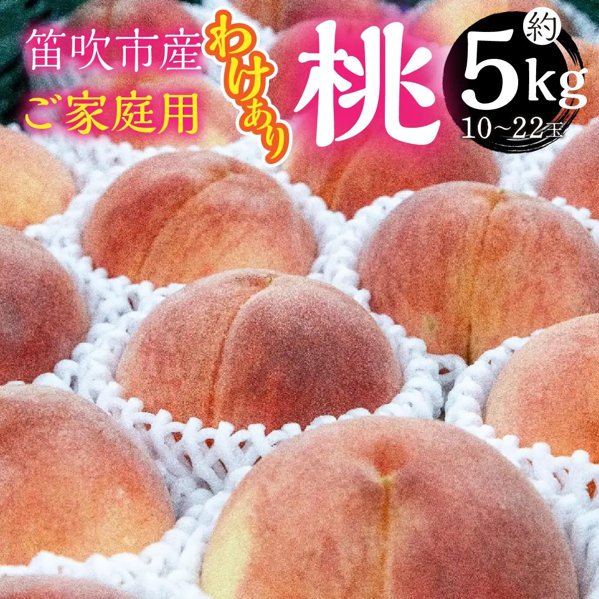 【2026年発送★先行予約】山梨県笛吹市産　ご家庭用(わけあり)桃　約5kg(10玉～22玉) 263-001-26y