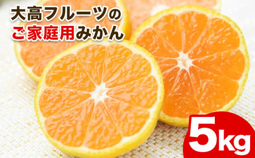 
            大高フルーツのご家庭用みかん★約5kg(2S-2Lサイズ) 《11月中旬-2月上旬頃出荷》予約受付中 フルーツ 秋 旬★熊本県玉名郡玉東町 ちょこっと訳あり♪
          