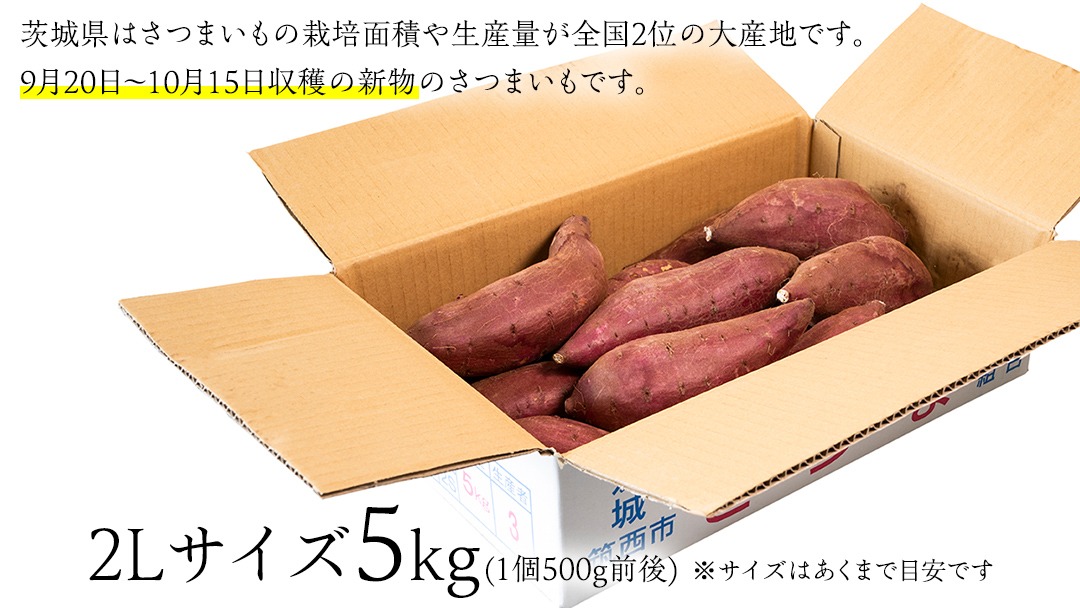 【 塚田商店 】 井上さつま 「 シルクスイート 」 5kg ( 2Lサイズ ) 新物 ブランド芋 茨城県産 筑西市産 さつまいも サツマイモ いも 芋 イモ [BD042ci]