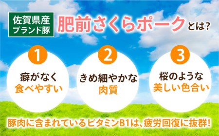 【6回定期便】＜毎日のお料理に便利に使える♪＞肥前さくらポーク こま切れ 1kg (500g × 2パック) 佐賀県産 国産豚肉 小間 小分け 吉野ヶ里町/アスタラビスタ[FAM030]