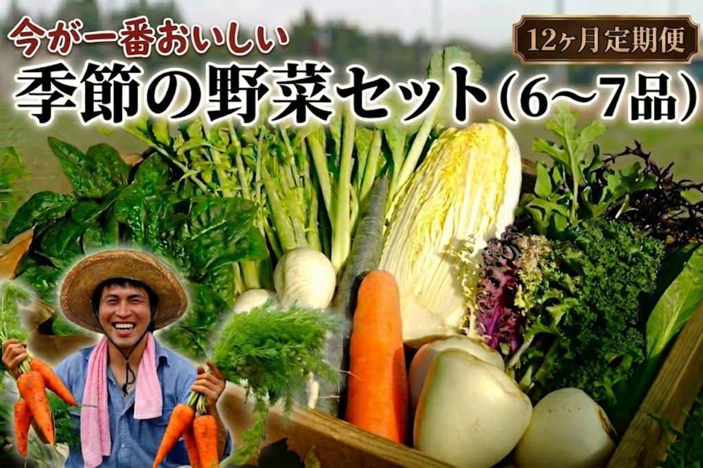 【定期便12回】季節の野菜セット（6～7品） 12ヶ月定期便