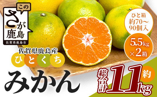B-632 毎年大人気！【先行予約】平倉果樹園のひとくちみかん約11kg｜鹿島産 小玉みかん（5cm前後）｜贈答用・お取り寄せ ギフト｜温州みかん「ゆら」｜九州 佐賀県 鹿島市産 送料無料