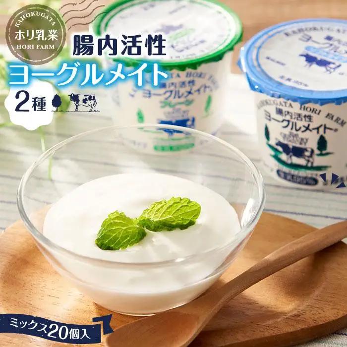 【ホリ乳業】腸内活性 ヨーグルメイト 2種ミックス20個入