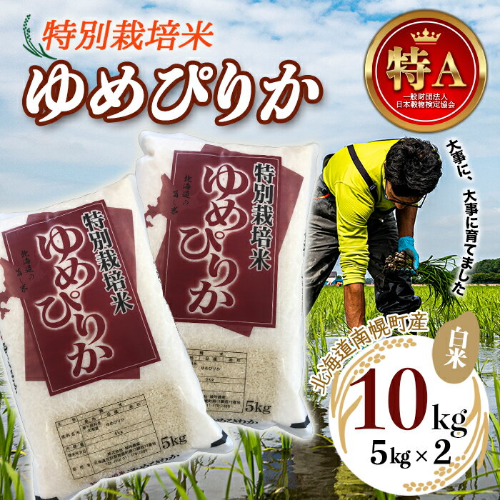 【ふるさと納税】特別栽培米 令和7年産 ゆめぴりか（白米）5kg×2袋 2025年10月発送開始 新米 NP1-408
