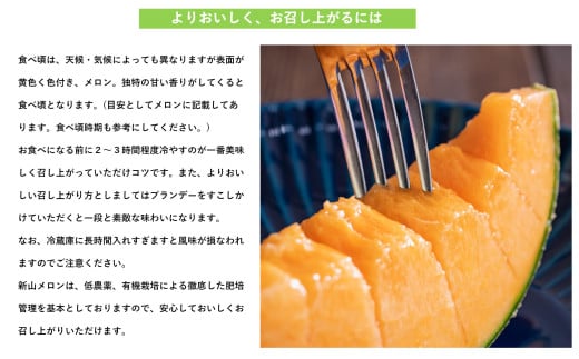 ＜2026年7月下旬よりお届け＞北海道壮瞥産 赤肉メロン（ニューキングメロン）2玉 約3kg SBTN003