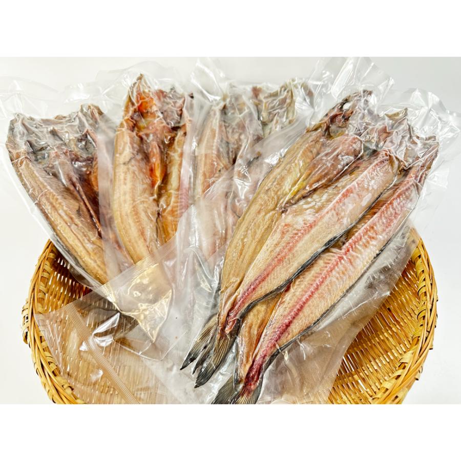 【もったいない！を食べよう】＜鏑木水産＞真ほっけ一夜干し8尾セット(訳あり)