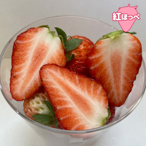 【随時配送】紅ほっぺ 約560g 完熟いちご ふるなび限定FN-Limited 6889　
