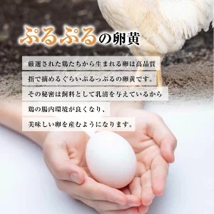 匠の卵 20個(割れ玉補償２個）7％の卵 | たまご 玉子