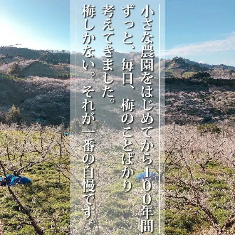 【家庭用】紀州みなべのおばあちゃん家の梅  350g×4パック 塩分約20％  baijuen011B【baijuen011B】
