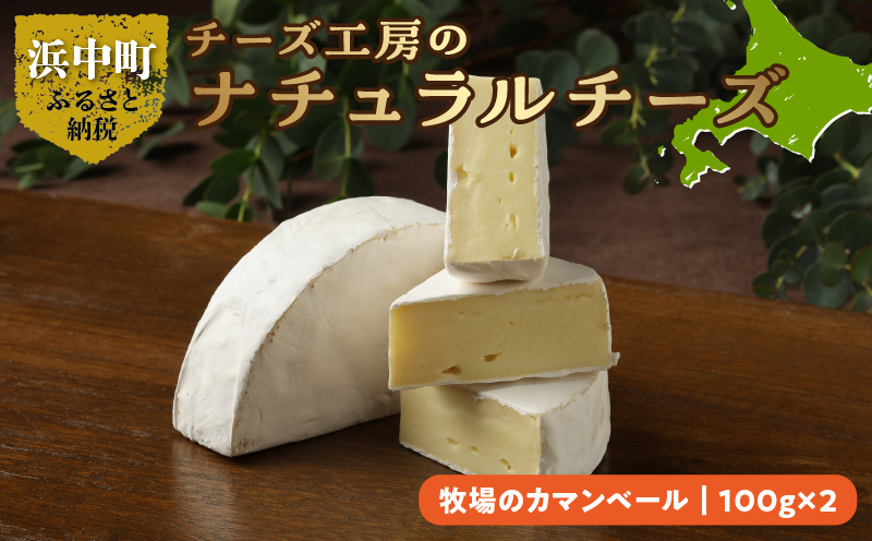 チーズ工房のナチュラルチーズ　牧場のカマンベール100g×2_H0003-103