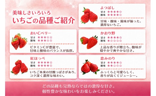 【2027年4月発送】【先行予約】【農場直送！】いちご2品種食べ比べ(約280g×2P)【ふるさと納税 佐賀県 基山町産 げんき農場 苺 ブランド苺 イチゴ いちご フルーツ 果物 くだもの 美味しい