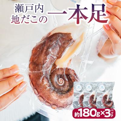 ふるさと納税 高松市 瀬戸内地だこの一本足 3パック