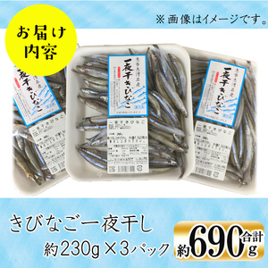 鹿児島県産 黒潮の恵み！天然物きびなご一夜干し約230g×3パック（合計約690g）a2-054