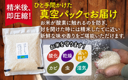 【先行予約 令和7年産】石川県かほく市産 こしひかり 2kg（1kg × 2袋） 特別栽培米【2025年10月より順次発送】| 新米 コシヒカリ 小分け 精米 白米 お米 こめ コメ 2キロ 単一原料