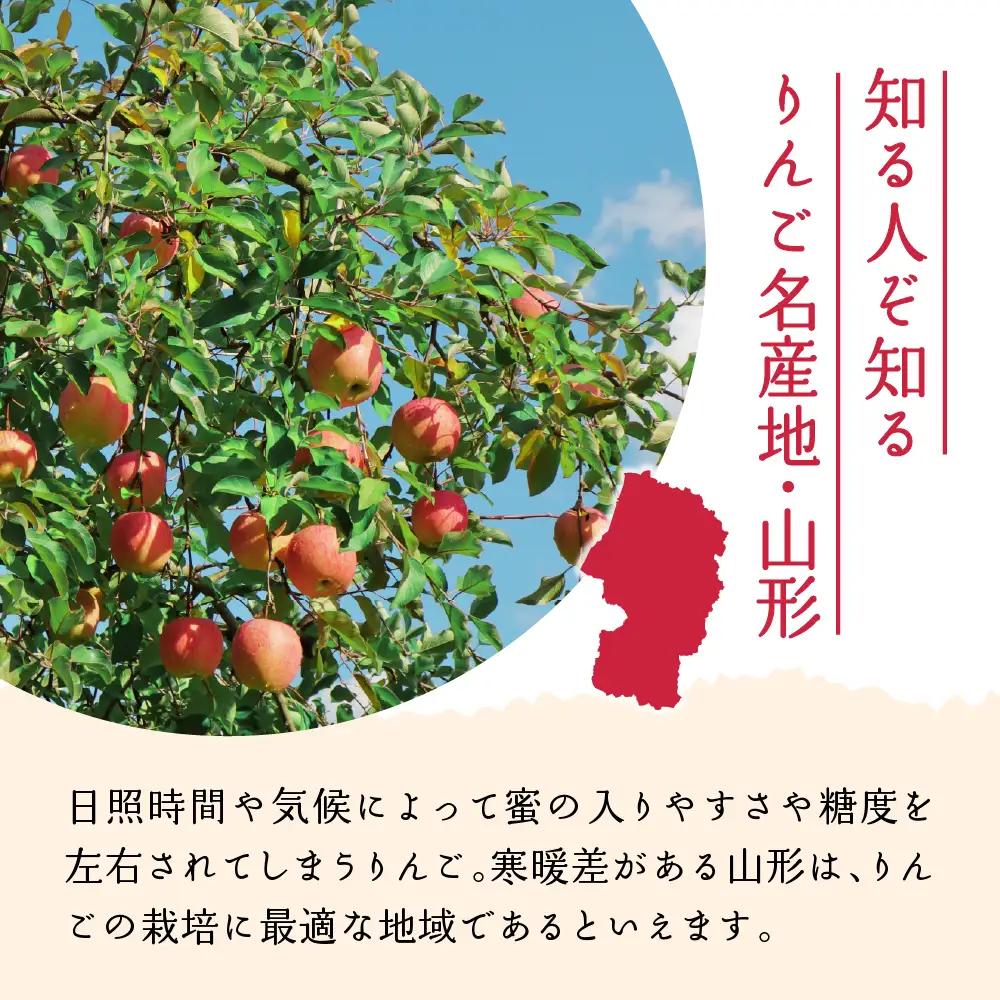りんご ふじりんご 5kg 丸秀 令和8年産 河北町産 りんご