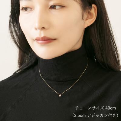 ふるさと納税 大津市 【10金 ダイヤモンドネックレス】華奢で可愛い 毎日を輝かせる 幸福を運ぶ 馬蹄デザイン レディース |  | 01