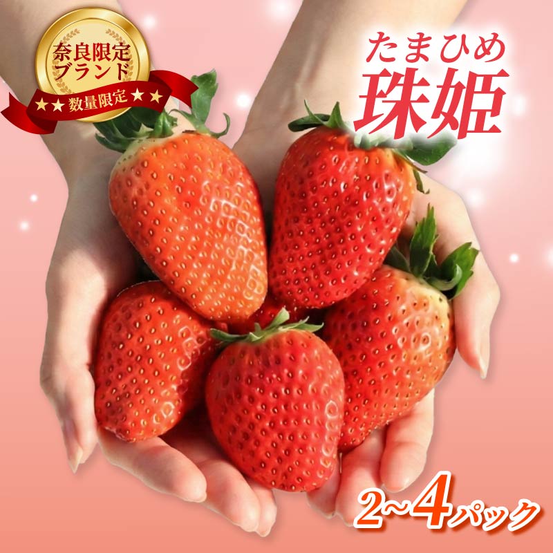 【ふるさと納税】 いちご 珠姫 たまひめ 2~4パック 6?15粒 数量限定 1?4月発送 いちご 苺 イチゴ 大粒 ブランド 旬 産地直送 新鮮 レア 希少品種 めいとく農園 奈良県 奈良市