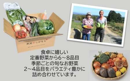 【6ヶ月 定期便】 肥前の国のお野菜定期便 新鮮 採れたて 野菜 直売所 野菜 8～10品目 野菜定期便 F-20