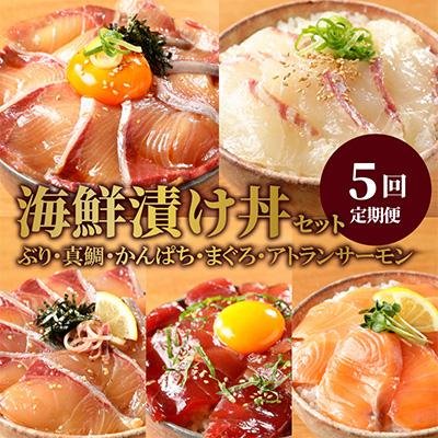 ふるさと納税 延岡市 【毎月定期便】【ふるさと納税】日向灘 海鮮漬け丼 バラエティ全5回