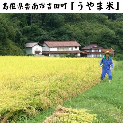 ふるさと納税 松江市 令和6年産・島根県産「うやま米コシヒカリ(雲南市吉田町)」10kg(2kg×5) |  | 03