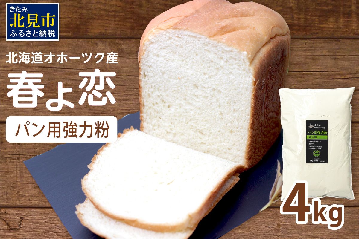【北海道オホーツク産】パン用強力粉 春よ恋 4kg　※賞味期限30日保証 ( パン用強力粉 北海道産 小麦粉 パン 製パン )【056-0017】