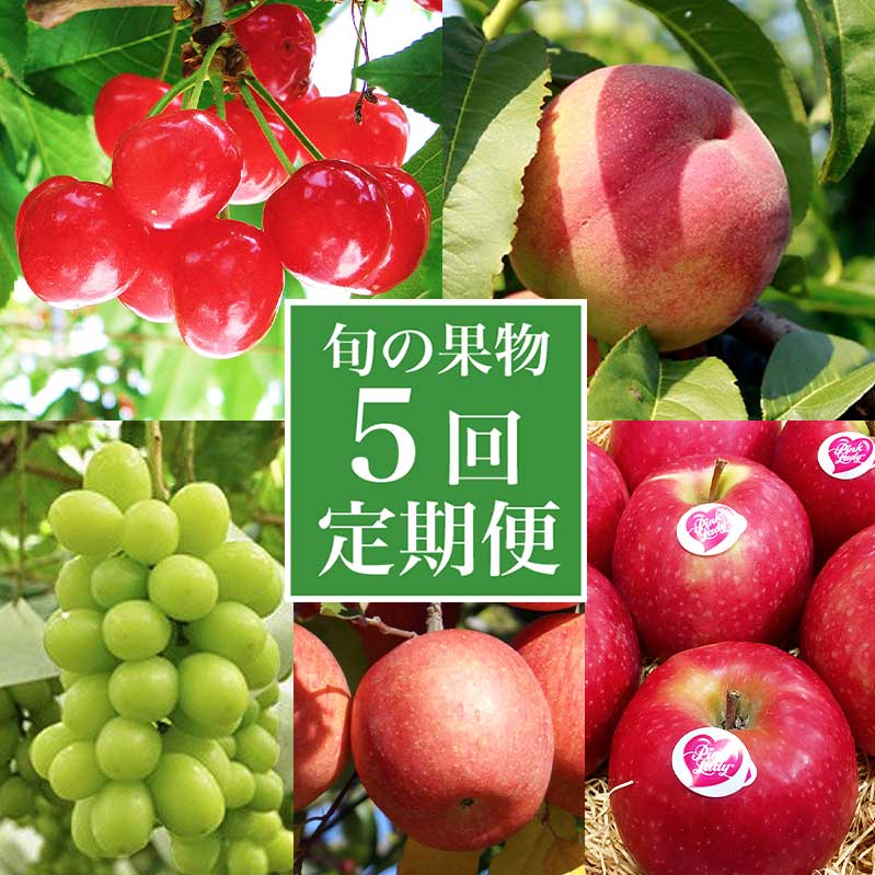 ［年5回定期便］ 小布施町の人気フルーツ定期便5回コース ［小布施屋］ フルーツ 果物 さくらんぼ もも 白桃 シャインマスカット 林檎 りんご リンゴ お楽しみ 数量限定 長野県 信州 令和7年産 【2025年6月中旬～2026年2月発送】