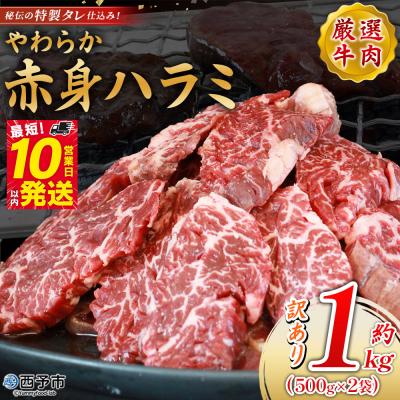 ふるさと納税 西予市 &lt;秘伝の特製タレ仕込み!やわらか赤身ハラミ 約1kg(500g×2)&gt; 訳あり はらみ ハラミ 赤身