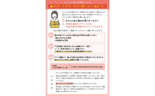 【2027年先行予約】完熟大玉・さくらんぼ（L～2Lバラ約350ｇ）　佐藤錦 紅秀峰 サクランボ チェリー 果物 産地直送 冷蔵 フルーツ 岩原果樹園