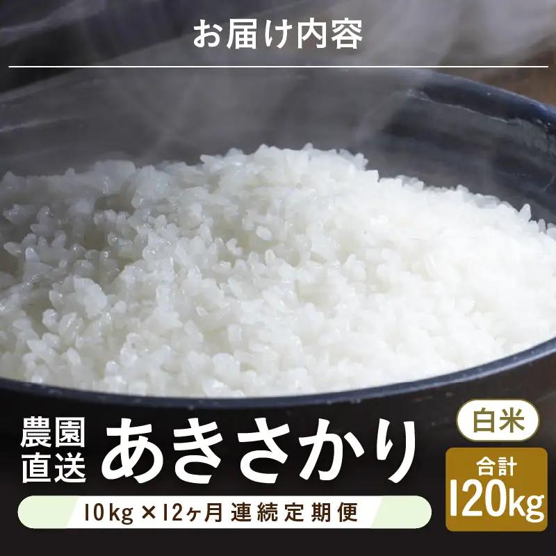 先行予約 令和8年産 新米 (白米) 定期便 12ヶ月連続お届け あきさかり 10kg (5kg×2袋) × 12回 計120kg ブランド米 米 2026年10月上旬以降順次発送 [O-8912_0