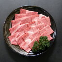 【ふるさと納税】A5等級飛騨牛:焼肉用500g　ロース又は肩ロース肉【配送不可地域：離島】【1539476】