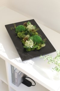 プリザーブドフラワー フォレスト ホワイト