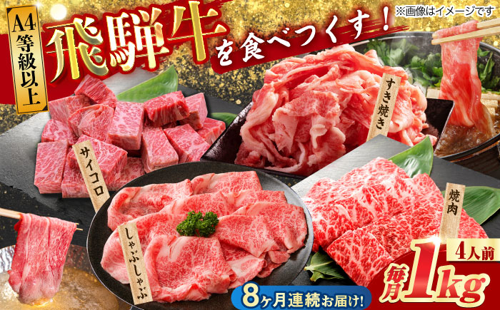 
                  【8回定期便】 飛騨牛を食べつくす！ 飛騨牛 プレミアム 定期便 4人前 ( しゃぶしゃぶ × すき焼き × サイコロステーキ × 焼肉 ) 各1kg A4等級以上 和牛 ブランド牛 国産 牛肉 多治見市 / 渡辺精肉店 [TAZ049]
                