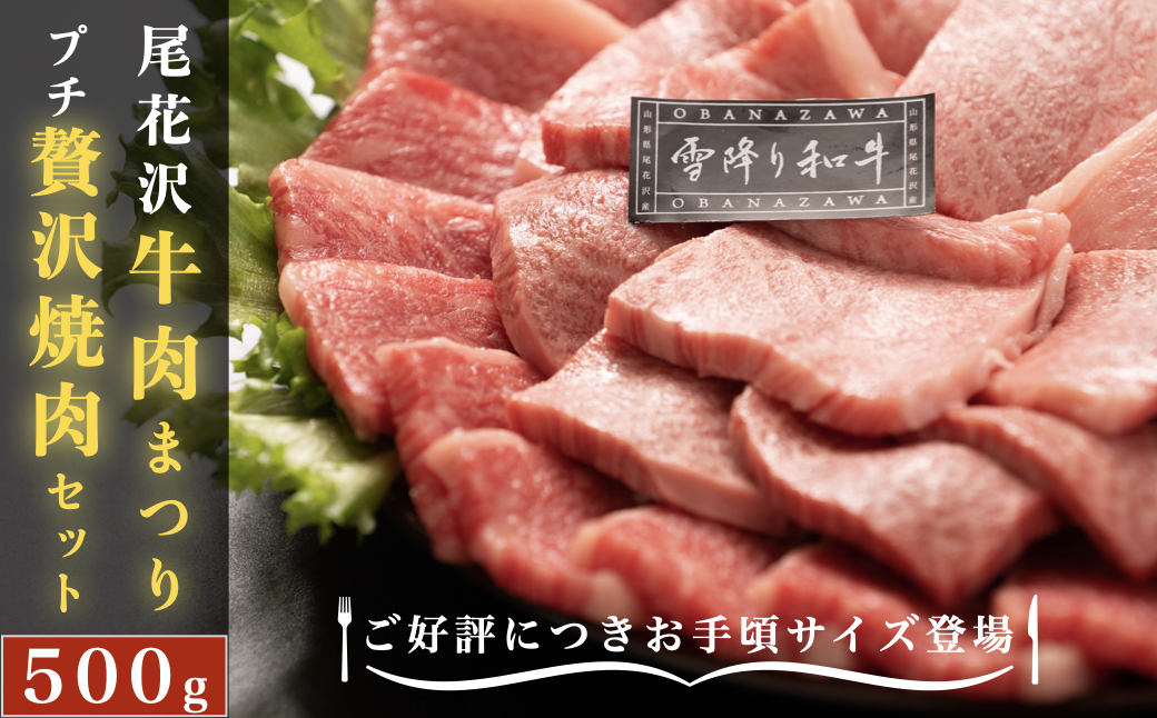 尾花沢牛肉まつりプチ贅沢焼肉セット　ロース・カタ・モモ・カルビ　500g　(295A)