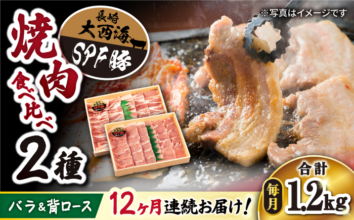 【12回 定期便 】 焼肉 豚 大西海 SPF豚 背ロース ＆ バラ（ 焼肉 用）計1.2kg（各600g）＜大西海ファーム＞ [CEK102] 焼肉 焼肉 肉 食品 肉類 国産 豚肉 食べ比べ こだわり セット 甘み 旨み 豚バラ バラ肉 豚ロース 贈答 ギフト SPF豚 訳あり 