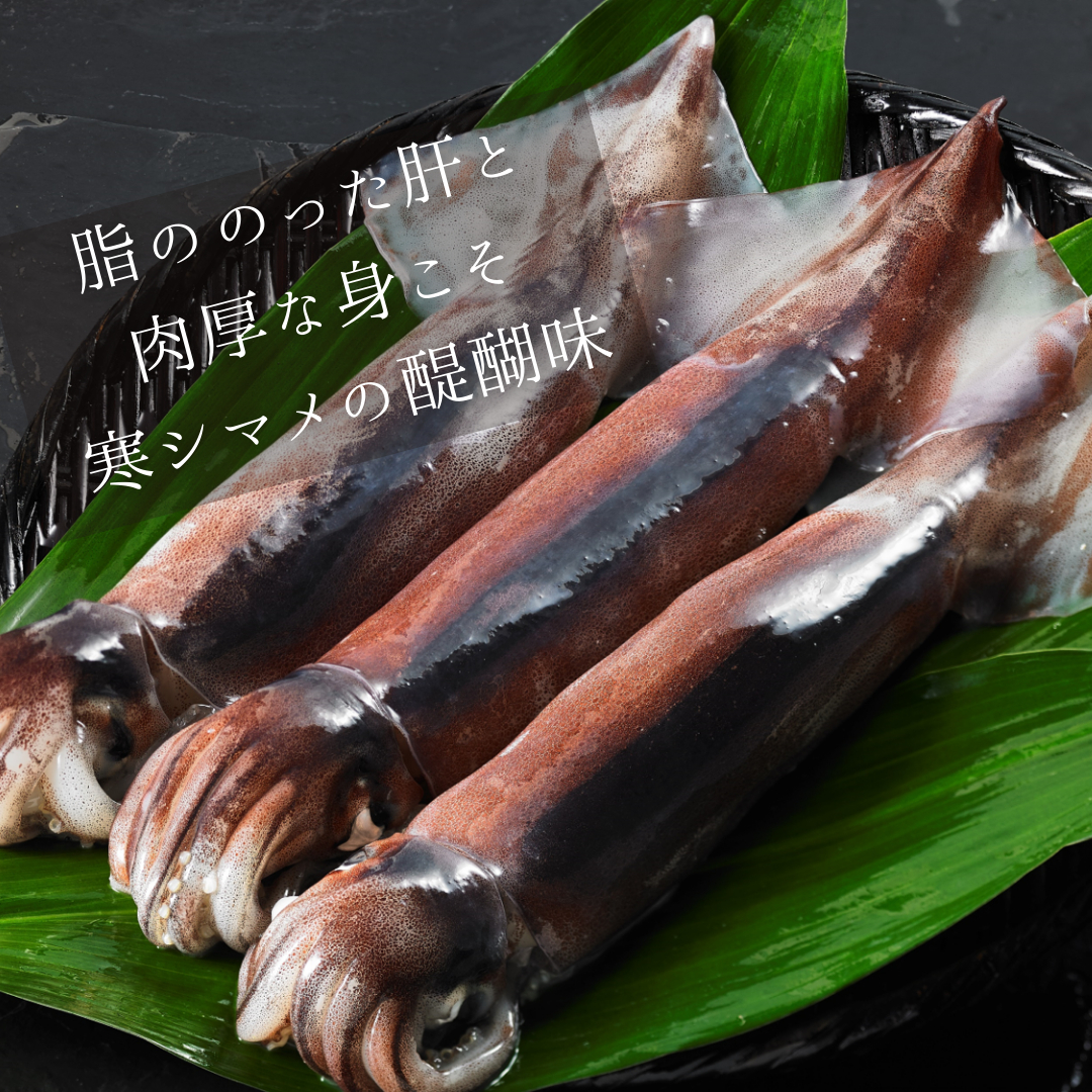 【のし付き】寒シマメ三昧セット お歳暮に スルメイカ3種セット お刺身・おつまみ・おかずにも！_イメージ4