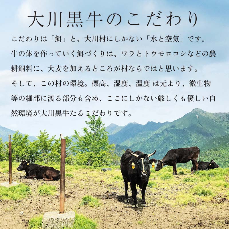 国産黒毛和牛 大川黒牛 ももステーキ A4（150g×4枚） 国産 黒毛和牛 A4 もも肉 ステーキ 牛肉 焼肉 高知県 大川村  牛モモ肉 牛モモ モモ肉 牛 モモ ビーフ 肉 食品 F6R-022