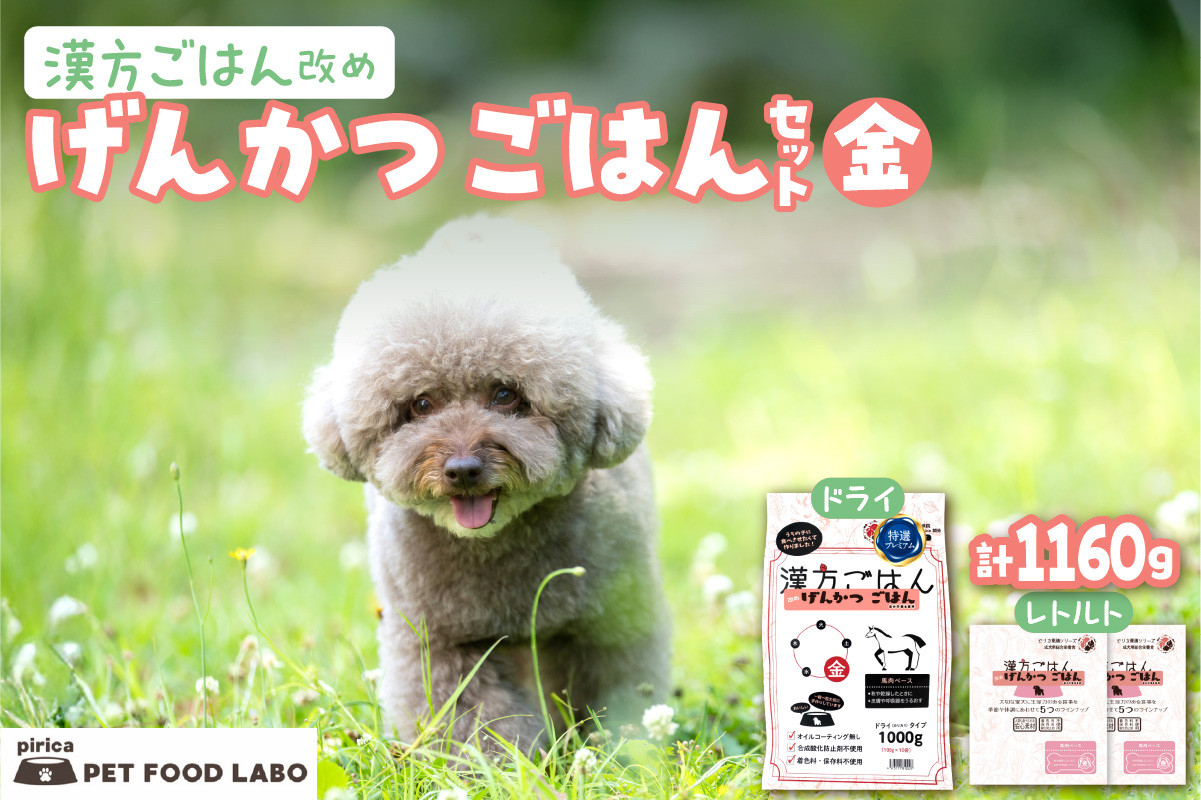 
            漢方ごはん改めげんかつごはん金（ドライ1000g＋レトルト2個）セット
          
