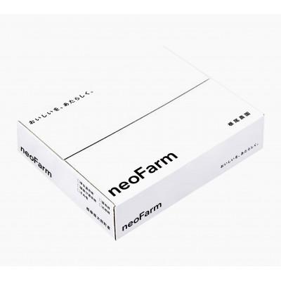 ふるさと納税 大野町 岐阜県大野町産　富有柿　3L　10個入り |  | 02