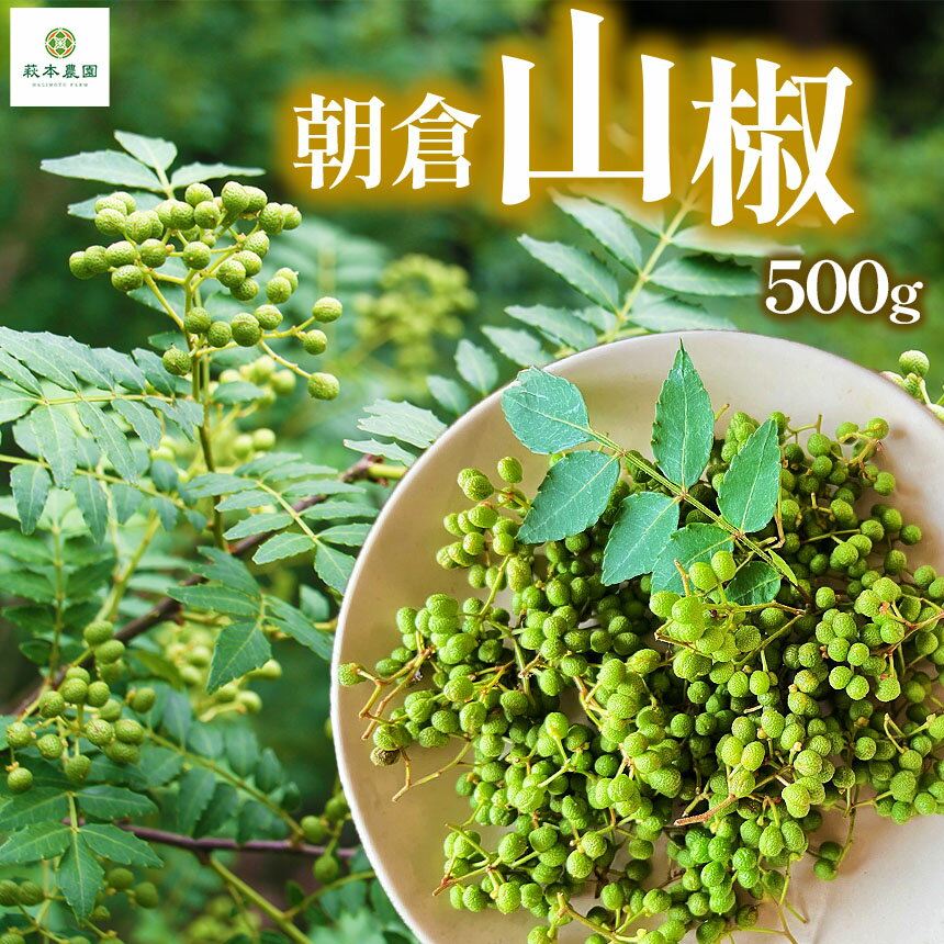 【ふるさと納税】 朝倉山椒 500g | 朝倉 山椒 さんしょう サンショウ 胡椒 調味料 スパイス 家庭用 自宅用 産地直送 国産 人気 送料無料 グルメ お取り寄せ 萩本農園 | 奈良県 五條市