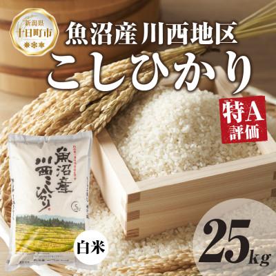 ふるさと納税 十日町市 【令和7年産】 魚沼産 川西 こしひかり 25kg 精米 新潟県産 お米 産地直送 十日町