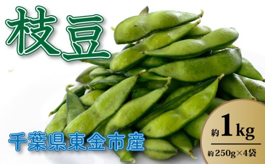枝豆  約1kg えだまめ エダマメ  約250g × 4袋 【現在発送中】 ビール おつまみ 野菜 やさい おやさい 国産 旬 農産物 おすすめ レシピ サラダ 夏野菜 なつやさい 採れたて 生 新鮮 朝食 昼食 夕食 おかず 産地直送 千葉 東金 千葉農人