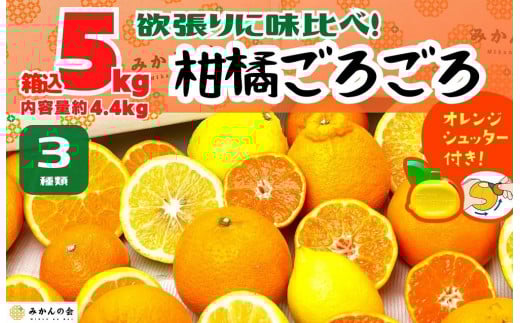 
            旬の柑橘食べ比べ 柑橘ごろごろ 3種 箱込 5kg(内容量約 4.4kg) 秀品 優品 混合 和歌山県産 産地直送 【おまけ付き】【みかんの会】
          