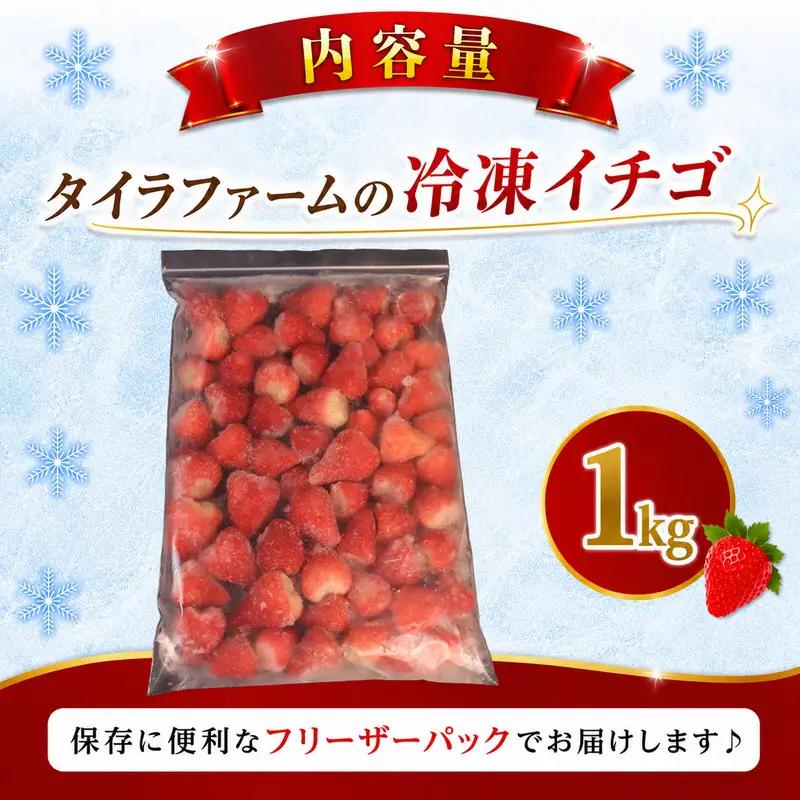 冷凍 イチゴ 1㎏  きらぴ香 牧之原市 静岡県 タイラファーム