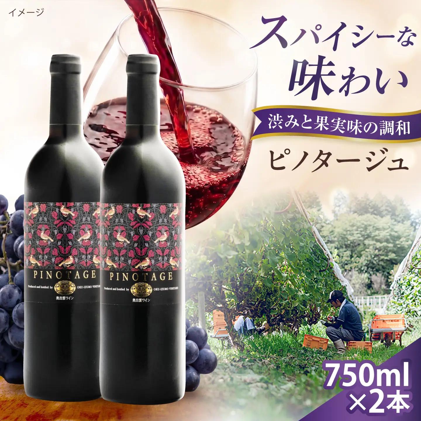 ピノタージュ 2本 750ml×2 赤ワイン 国産 島根県雲南市/有限会社奥出雲葡萄園[AICS106]