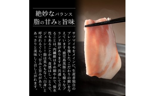 B-119 鹿児島黒豚うす切り肉3kg(200g×15パック)鹿児島県が誇る黒豚肉の薄切りを各200gの小分けにしてお届け【米平種豚場ふくふく黒豚の里】