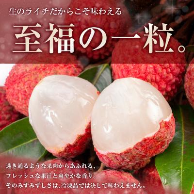 ふるさと納税 宮崎県 【2027年発送】希少!宮崎県産 生ライチ(合計約400g) |  | 01