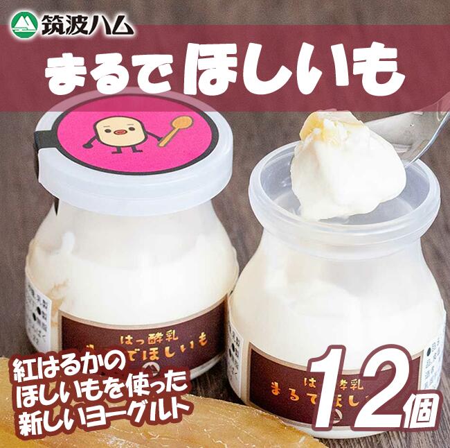 【ふるさと納税】【筑波ハム】まるでほしいも×3個セット4箱 | 茨城県 つくば市 ヨーグルト 干し芋 ほしいも ほし芋 紅はるか さつまいも いも 健康