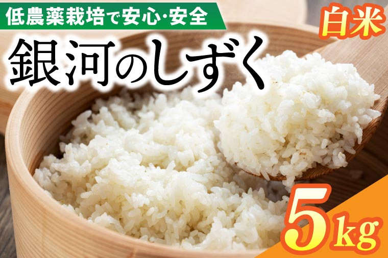 
            【新米】令和6年産 銀河のしずく 5kg (精米) 低農薬栽培米 生産者直送 生産地域限定ブランド米 (EI012)
          