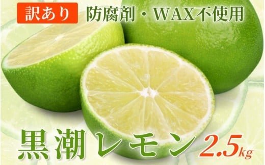 ＜先行予約＞わけあり レモン2.5kg+250g（傷み補償分）【和歌山有田産】【防腐剤・WAX不使用、安心の国産レモン】【わけあり・訳ありレモン】【ikd034C】